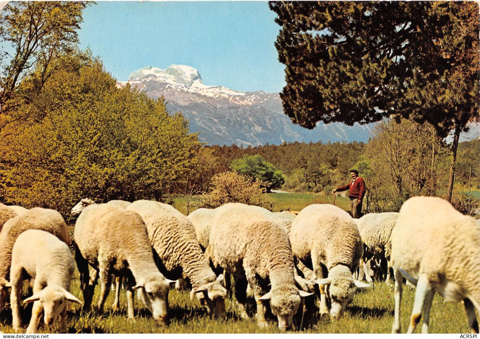 PASTORALE Les Alpes Pittoresques 2(scan Recto-verso) MA429 - Artisanat