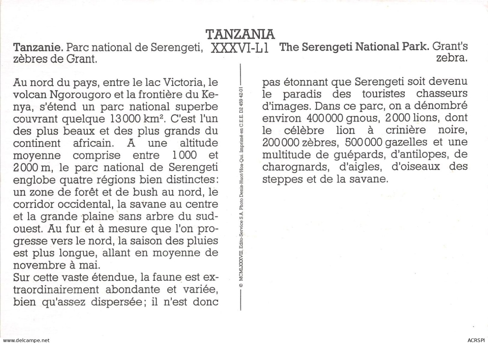 TANZANIE Parc National De Serengeti Zebres De Grant 20(scan Recto-verso) MA497 - Tanzania