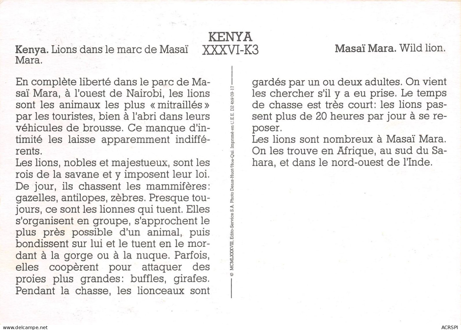 KENYA LIONS Dans Le Marc De Masai Mara 19(scan Recto-verso) MA497 - Kenya