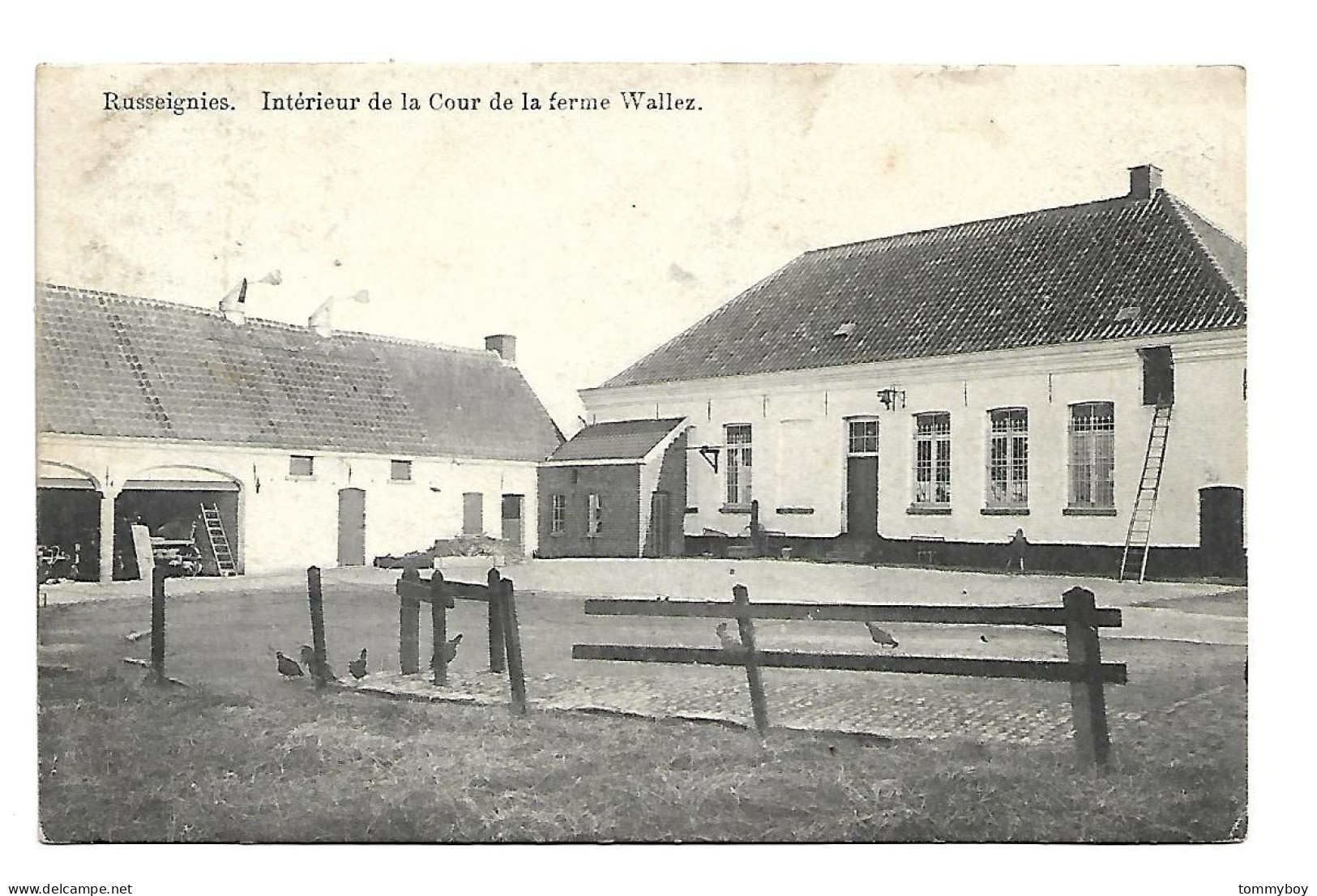 CPA Russeignies  - Intérieur De La Cour De La Ferme Wallez - Kluisbergen