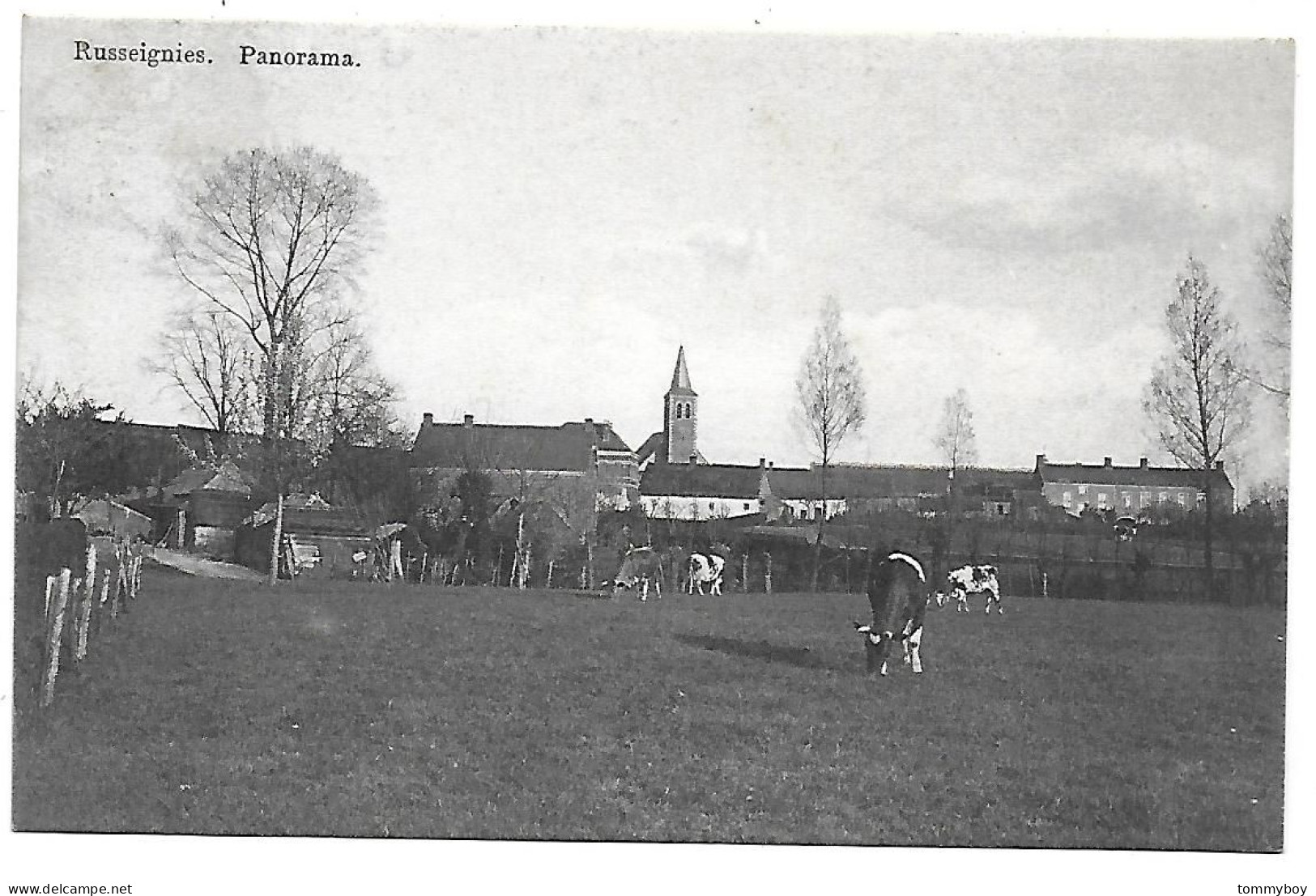 CPA Russeignies, Panorama - Kluisbergen