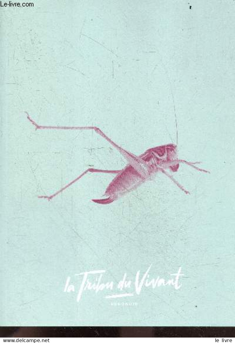 La Tribu Du Vivant N°12 Automne 2023 - Rebondir- Orphelins Des Forets, Alexis Robert Responsable Et Libre, Le Renouveau - Andere Magazine