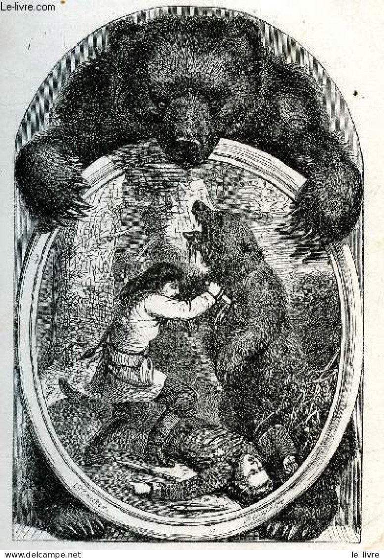 Bruin Ou Les Chasseurs D'ours - Illustré De 8 Vignettes - MAYNE REID Capitaine - LETELLIER A. (traduction) - 1863 - Other & Unclassified