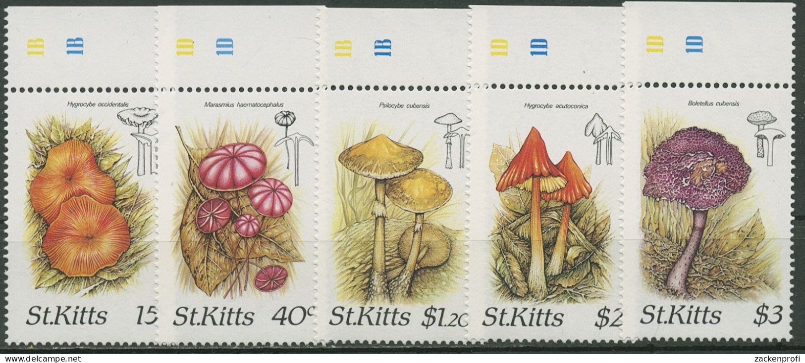 St. Kitts 1987 Pilze 213/17 Oberrand Postfrisch - St.Kitts Und Nevis ( 1983-...)