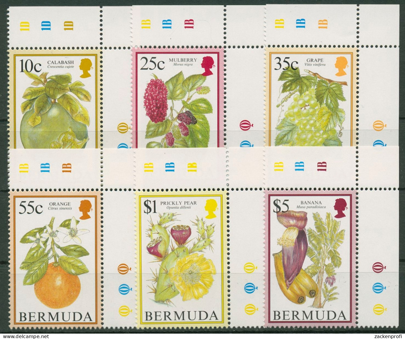 Bermuda-Inseln 1994 Früchte 659/64 Ecke Postfrisch - Bermudes