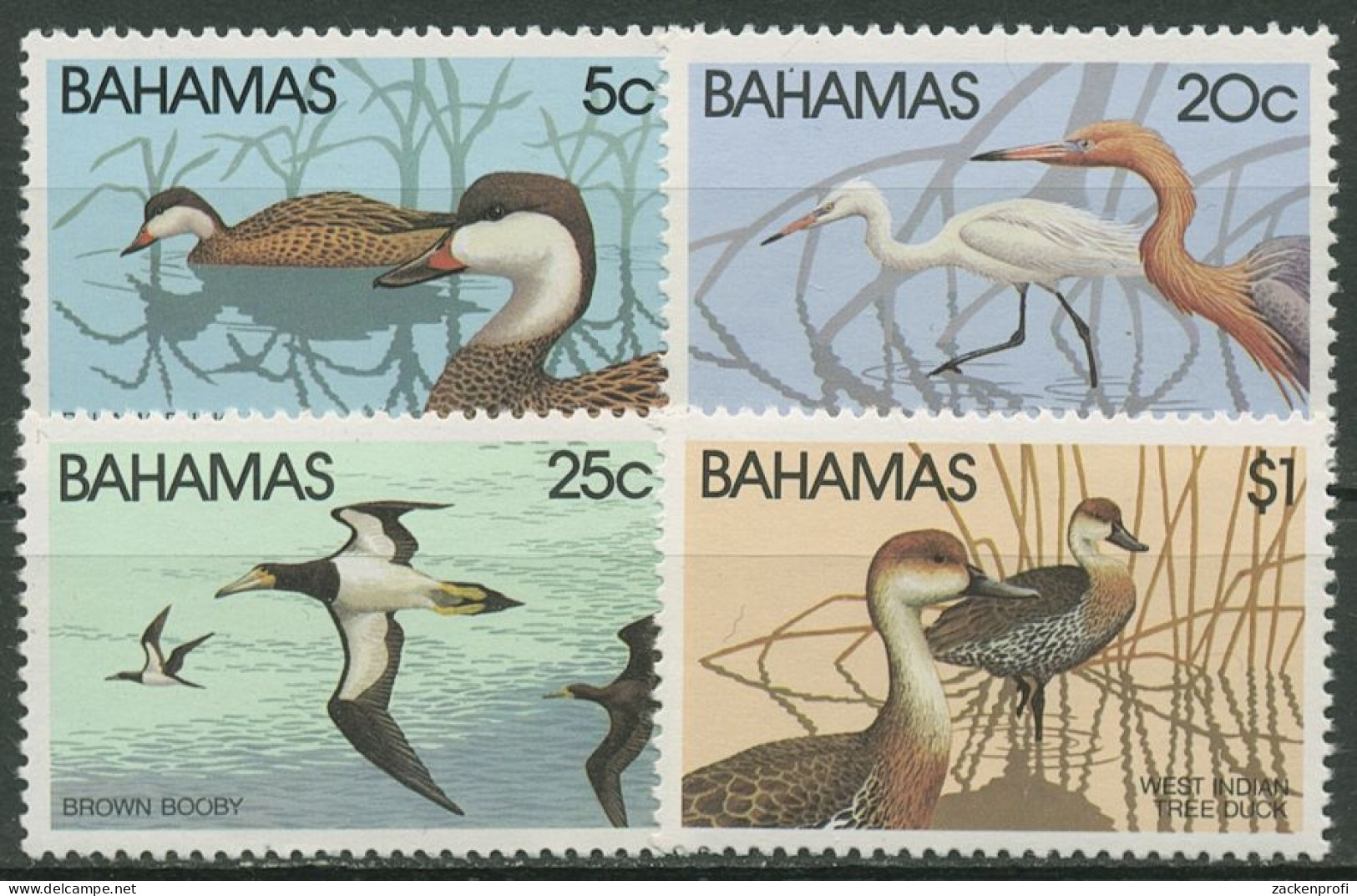 Bahamas 1981 Tiere Vögel 482/85 Postfrisch - Bahamas (1973-...)