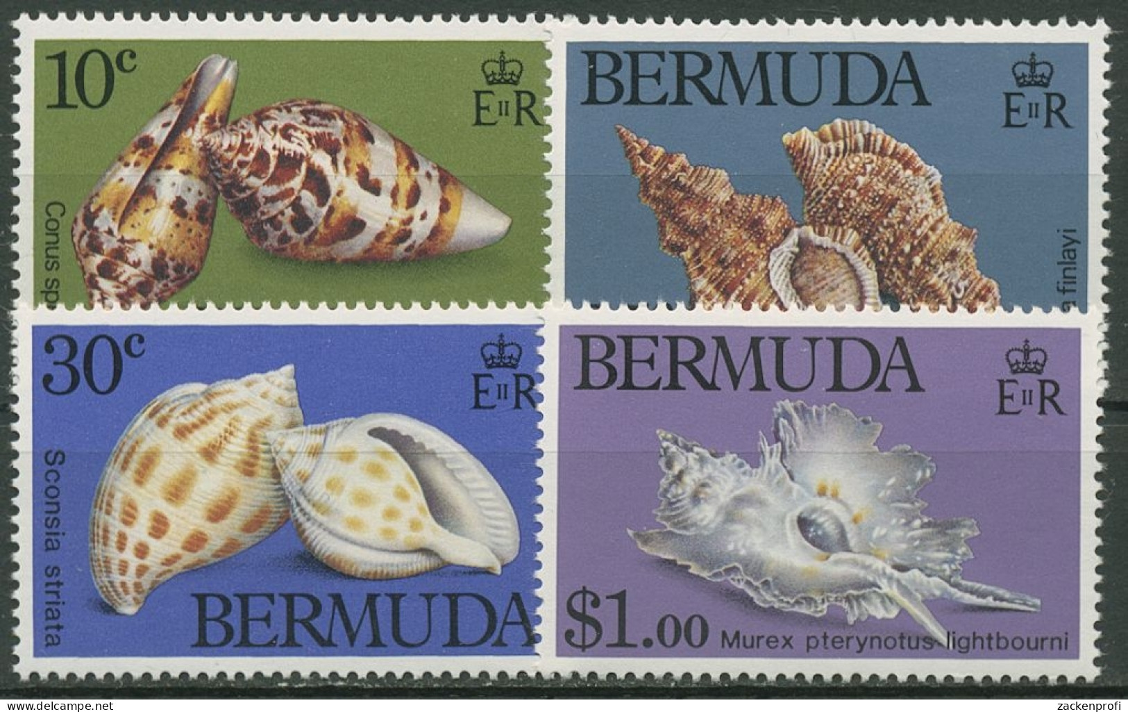 Bermuda-Inseln 1982 Meeresschnecken 408/11 Postfrisch - Bermudes