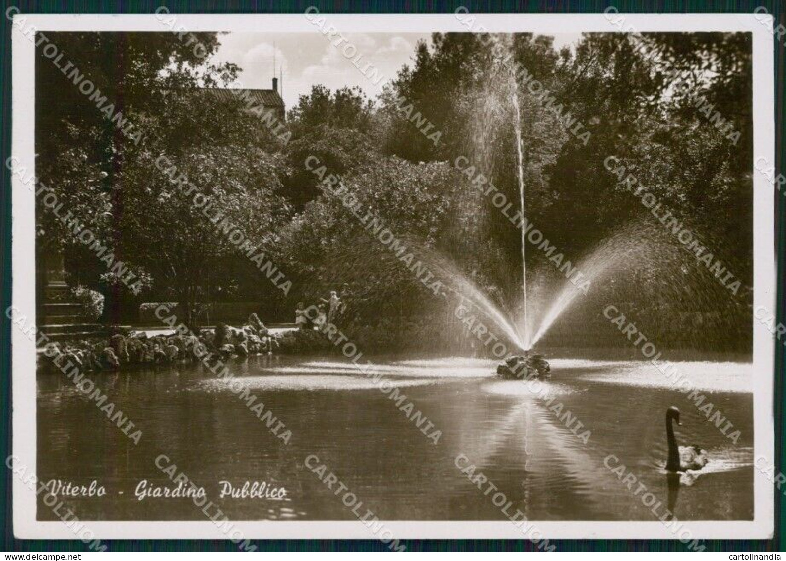 Viterbo Città Fontana PIEGHINA Foto FG Cartolina KF1818 - Viterbo