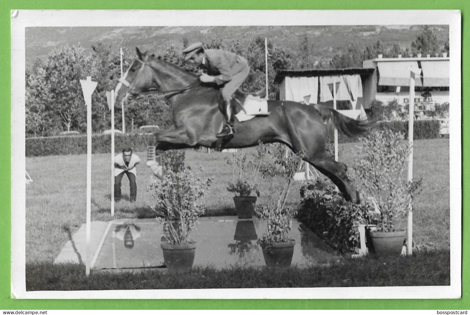 Pedras Salgadas - Concurso Hípico Em 1965. Vila Real. Portugal (Fotográfico) - Vila Real