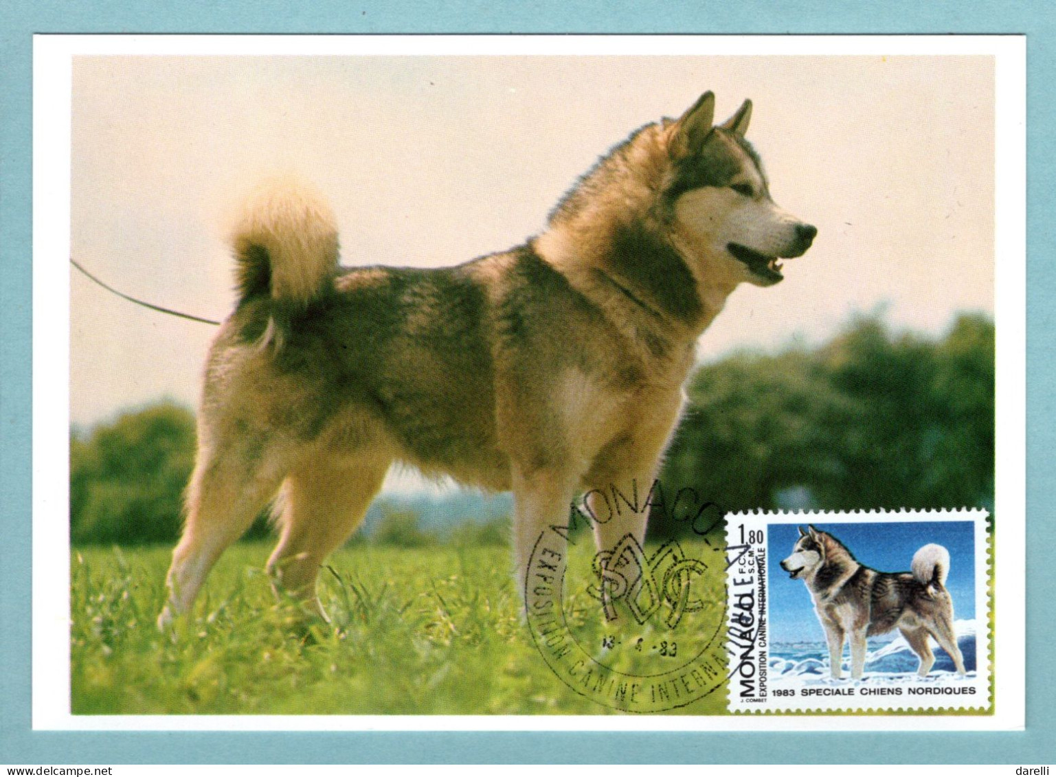 Carte Maximum Monaco 1983 - Exposition Canine Internationale Spéciale Chiens Nordiques - Alaskan Malamute - YT 1367 - Cartes-Maximum (CM)