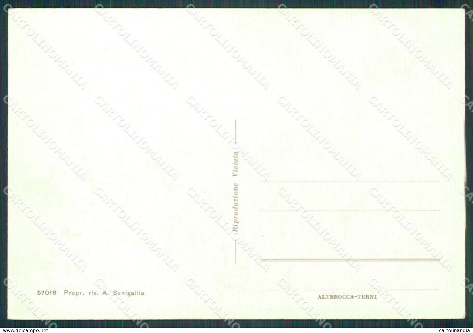 Macerata Treia FG Cartolina KF2023 - Macerata