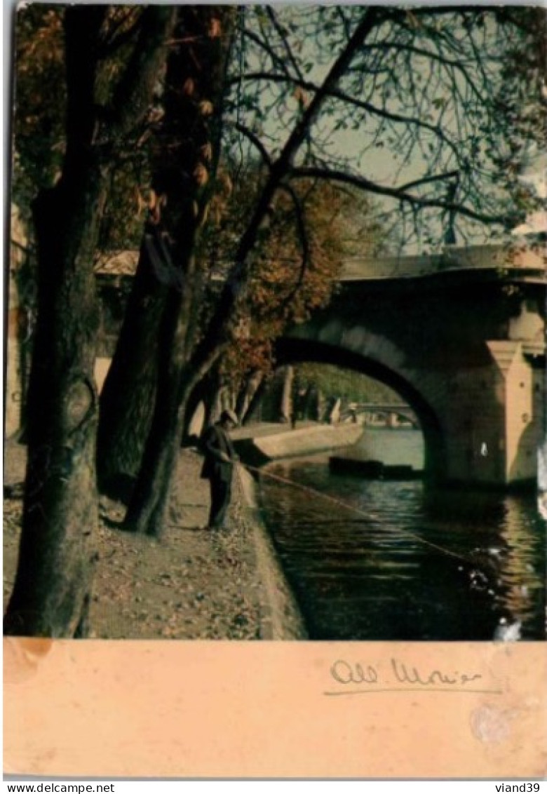 PARIS. -  Romantisme De La Seine. -  Photo D'Albert Monier. ( CPont Neuf  ). Traces De Collage Au Dos - La Seine Et Ses Bords