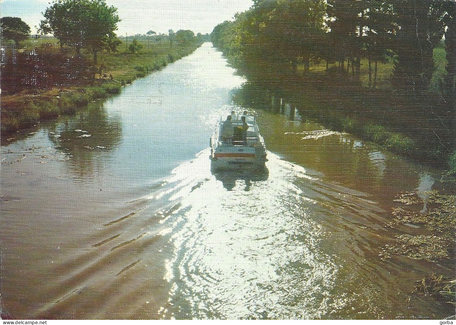 *CPM - FRANCE - LANGUEDOC ROUSSILLON - Canal Du Midi - Promenade Sur Le Canal - Languedoc-Roussillon