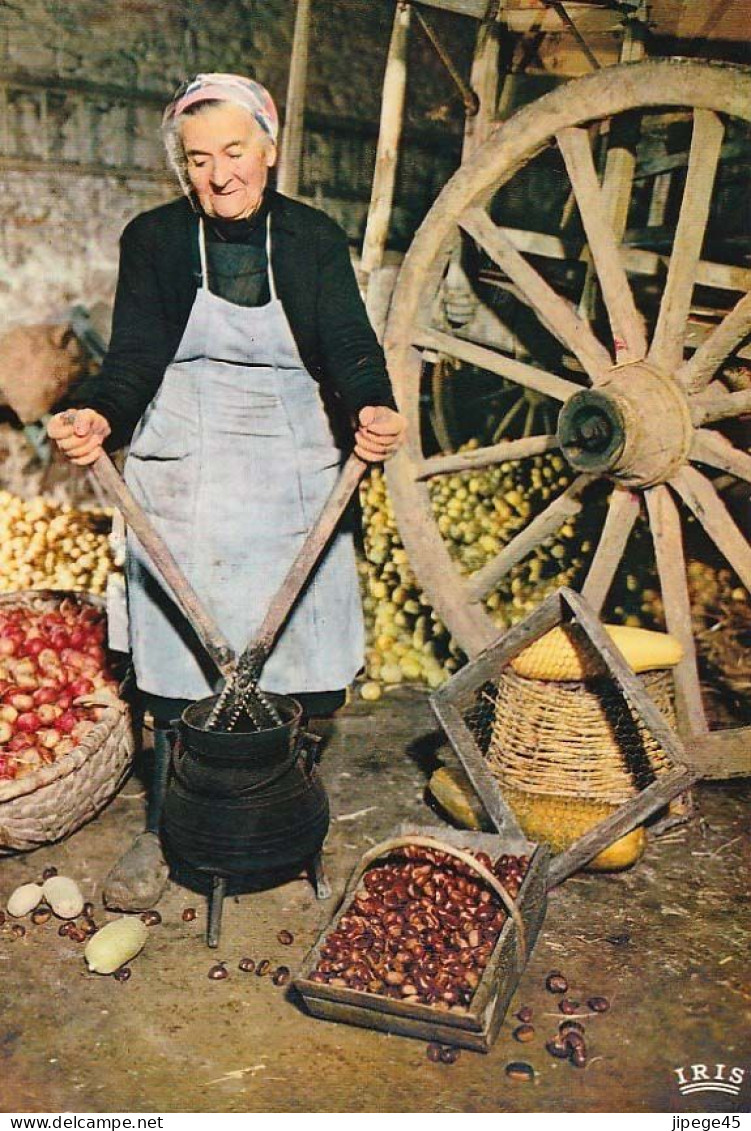 CPM - DEBOUERADOUR A Chataignes En Limousin - Campesinos