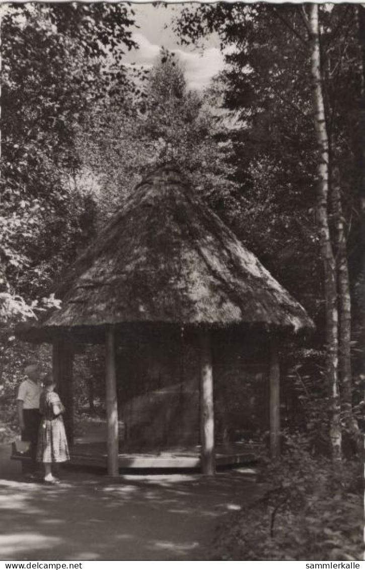 129615 - Bad Waldliesborn (OT Von Lippstadt) - Vogelhaus - Lippstadt