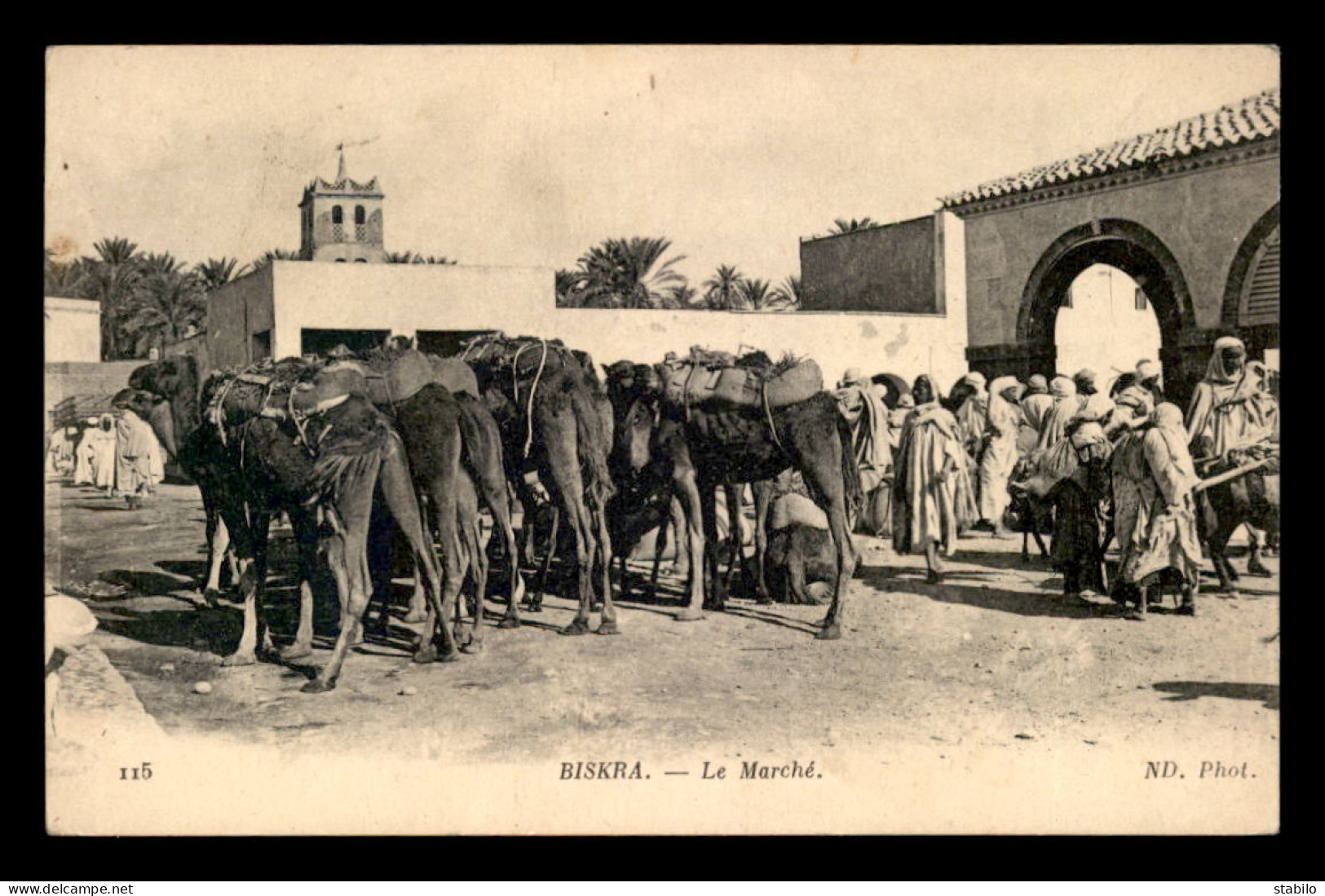 ALGERIE - SAHARA - BISKRA - LE MARCHE - CHAMEAUX - Biskra