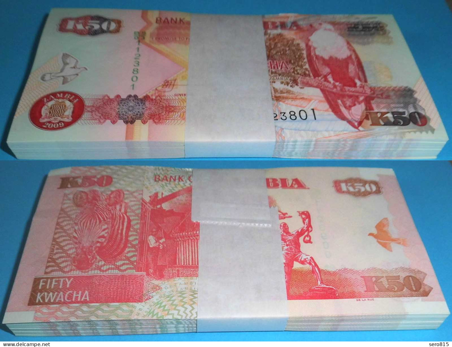 SAMBIA - ZAMBIA 50 Kwacha 2009 UNC Pick 37h UNC (1) Bundle á 100 St. Dealer Lot - Otros – Africa