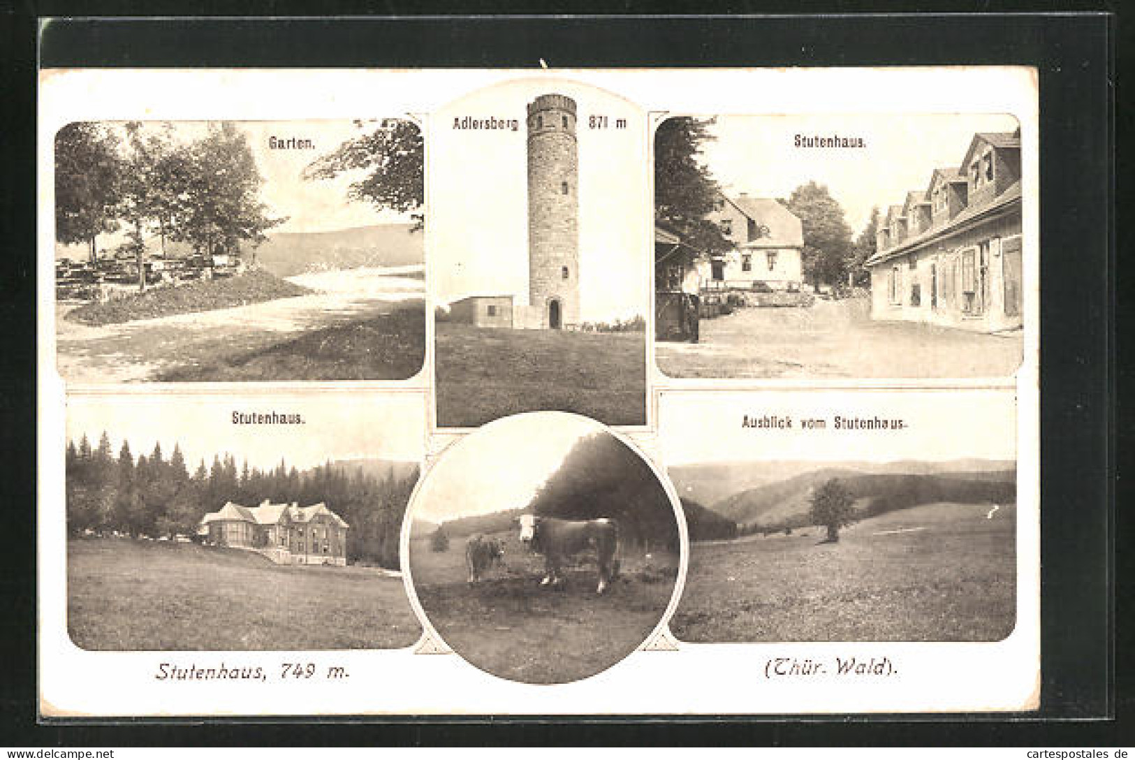 AK Schmiedefeld, Am Stutenhaus, Turm Auf Dem Adlersberg, Gartenpartie  - Schmiedefeld
