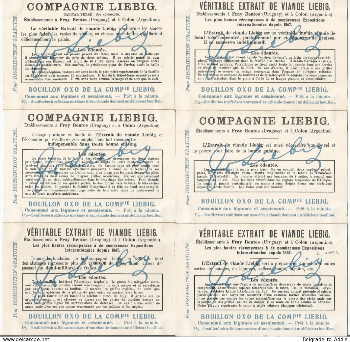 Chromo Liebig Série Compl. De 6 Chromos S_1095 Mammifères édentés 1914 Sanguinetti - Liebig