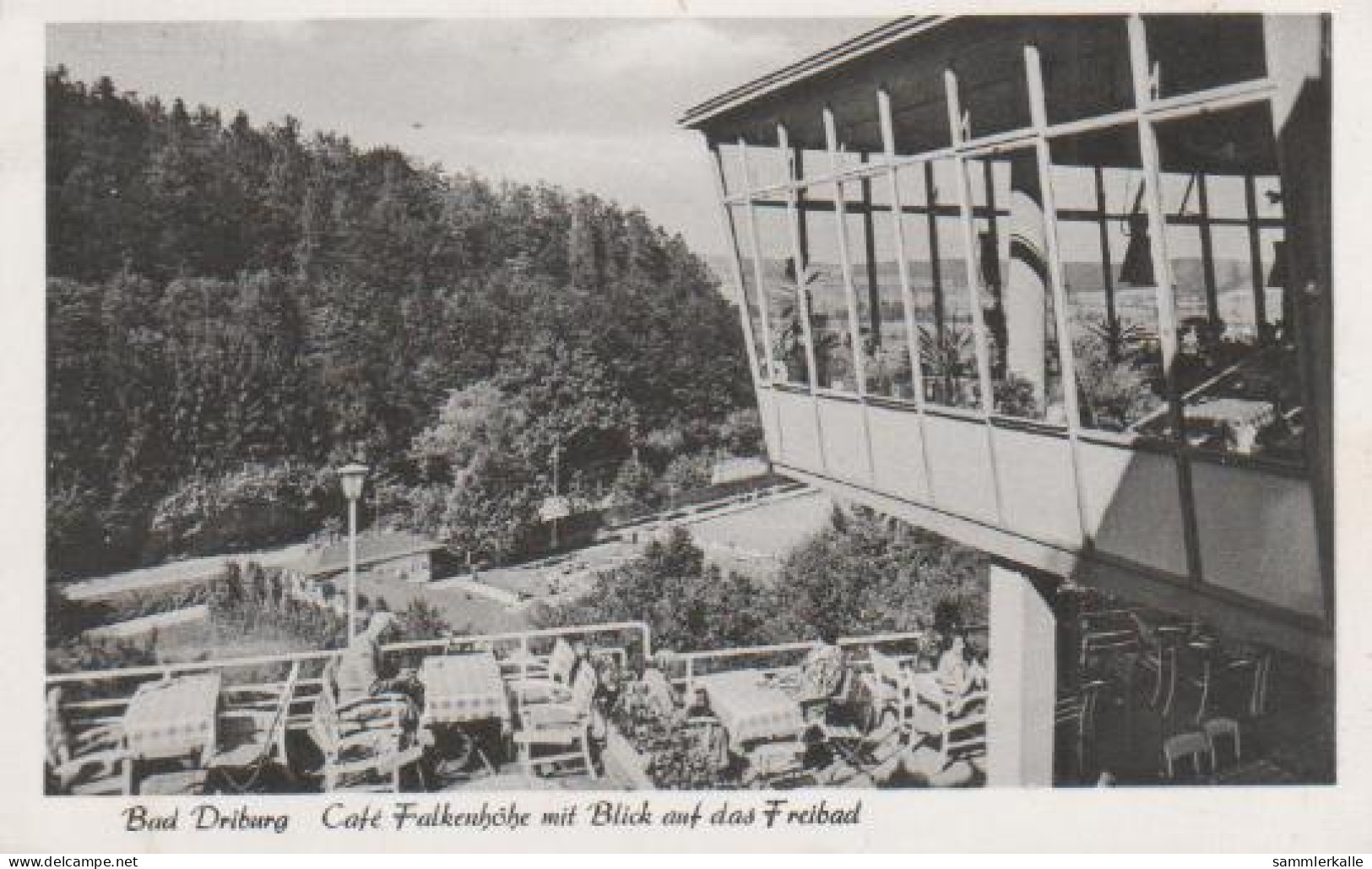 4444 - Bad Driburg - Blick Auf Freibad - 1959 - Bad Driburg