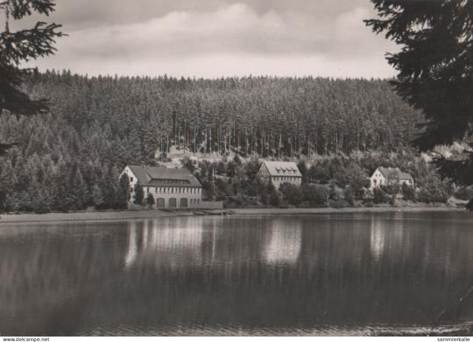 16733 - Frankenhain - Lütsche Talsperre In Thüringen - Ca. 1965 - Frankenhain