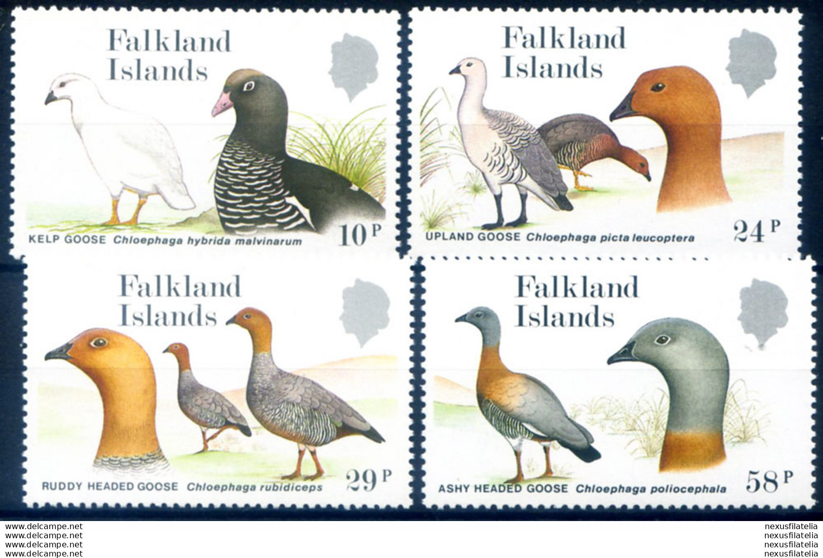 Fauna. Oche Selvatiche 1988. - Islas Malvinas