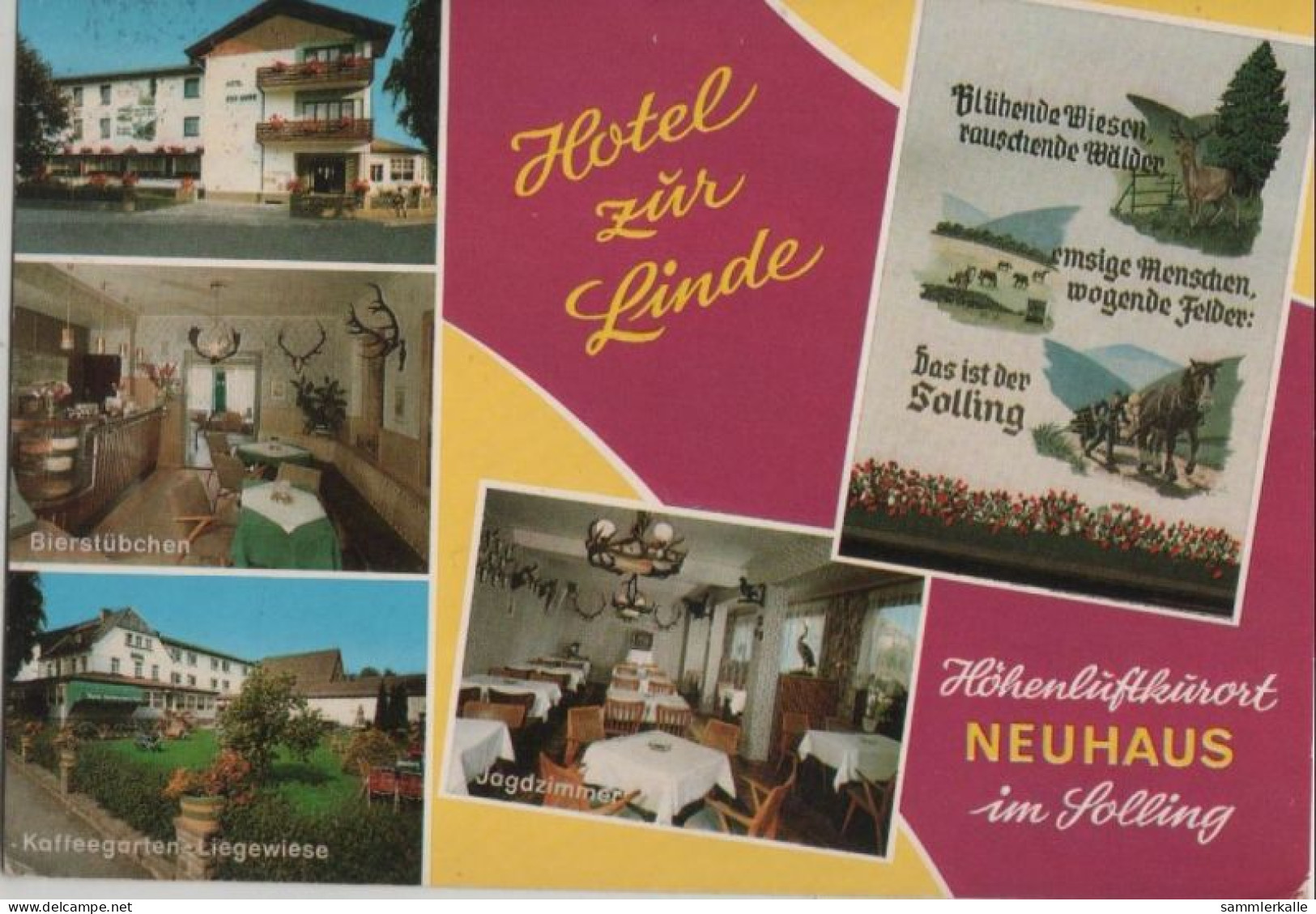 113103 - Neuhaus Solling (OT Von Holzminden) - Hotel Zur Linde - Holzminden