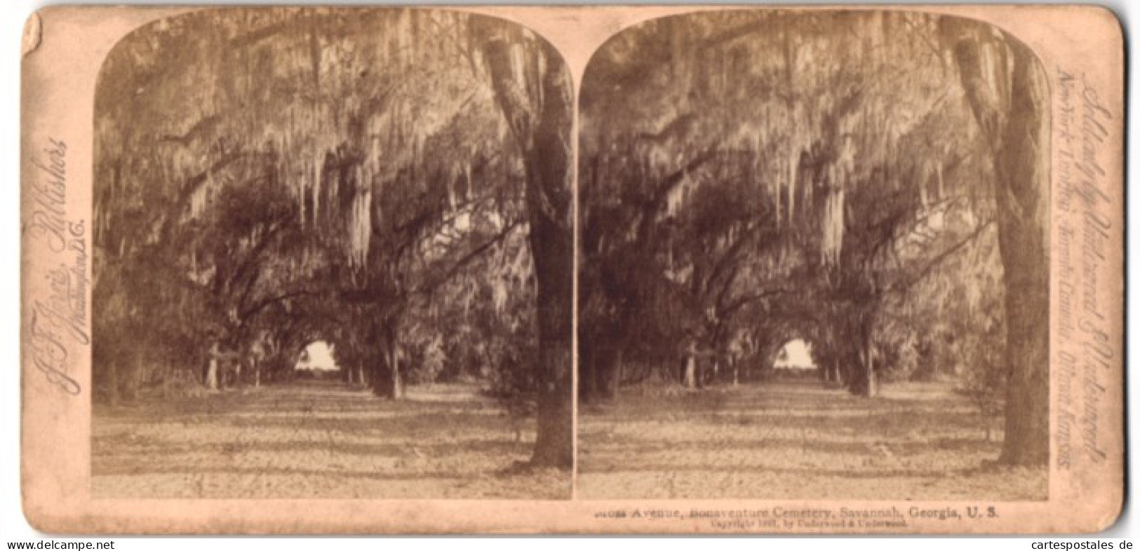 Stereo-Fotografie J. F. Jarvis, Washington D.C., Ansicht Savannah / GA, Moss Avenue, Bonaventure Cemetery  - Stereo-Photographie