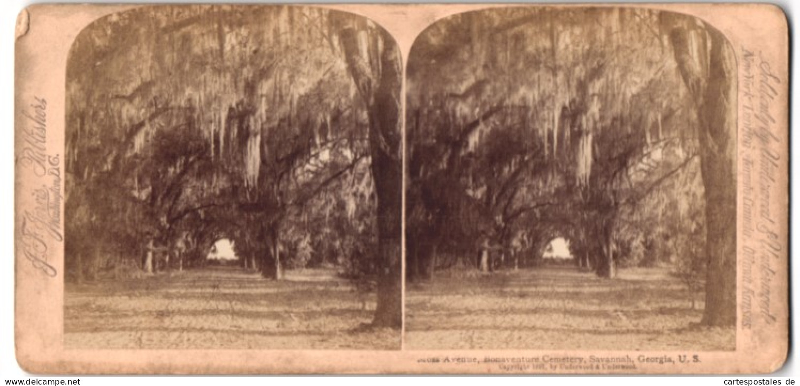 Stereo-Fotografie J. F. Jarvis, Washington D.C., Ansicht Savannah / GA, Moss Avenue, Bonaventure Cemetery  - Photos Stéréoscopiques