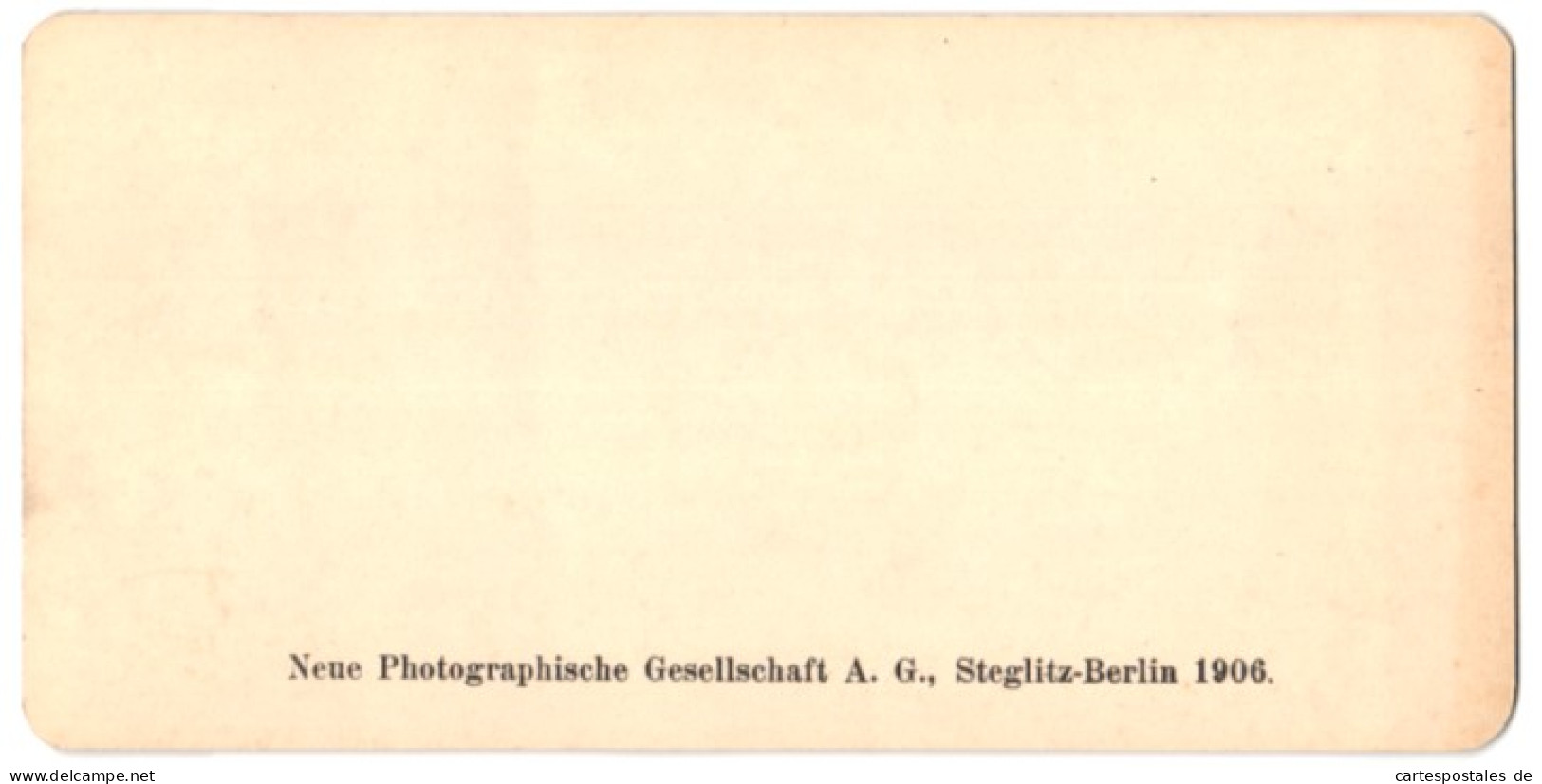 Stereo-Fotografie NPG, Berlin, Ansicht Liege, Vue Generale Prise Du Pont Des Arches  - Photos Stéréoscopiques