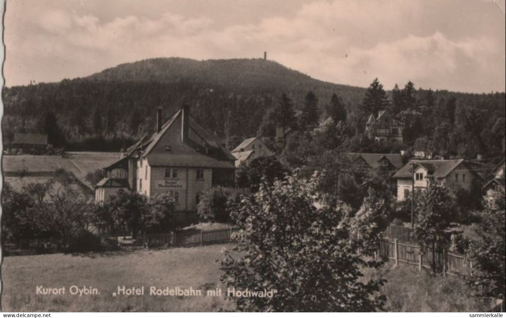 86495 - Kurort Oybin - Hotel Rodelbahn Mit Hochwald - 1959 - Oybin