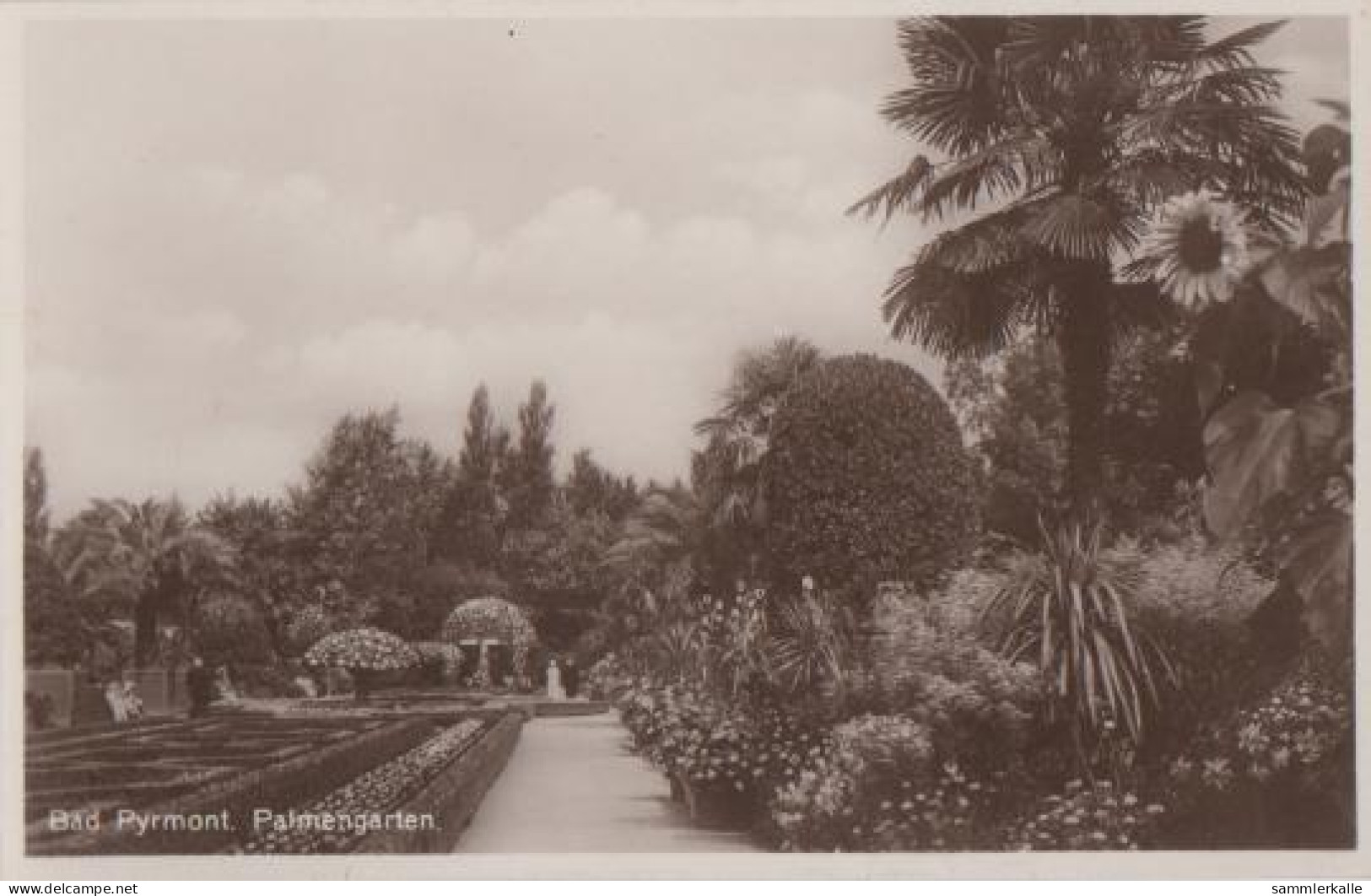 22632 - Bad Pyrmont Mit Palmengarten - Ca. 1955 - Bad Pyrmont