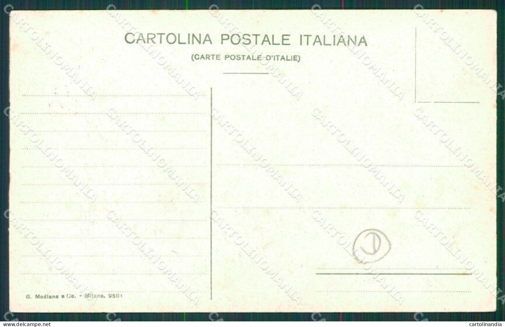 Catanzaro Terremoto Delle Calabrie Cartolina QZ4119 - Catanzaro