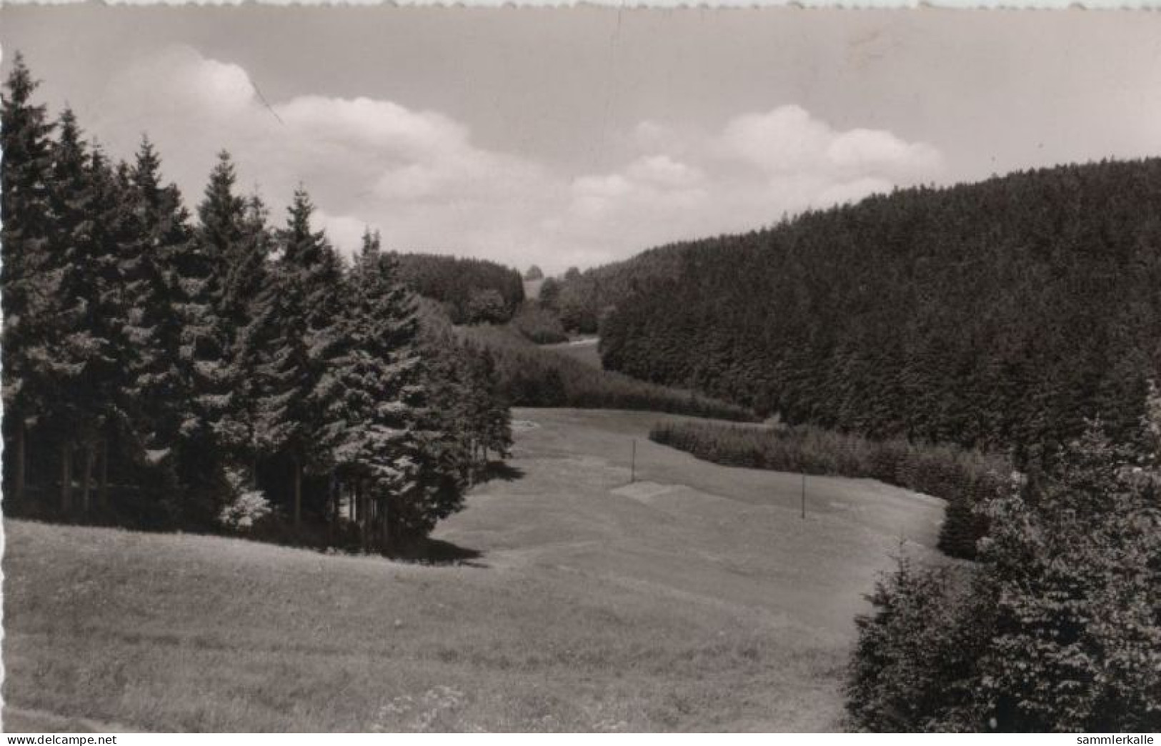 70553 - Schwarzenbach - Am Döbraberg - 1964 - Hof