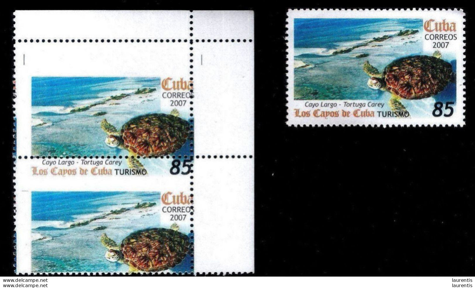 575  Turtles - Tortues -  Perforation Shift - Without Face Value Or Face Value On The Upper Side - Cb - 22,75 - Otros & Sin Clasificación