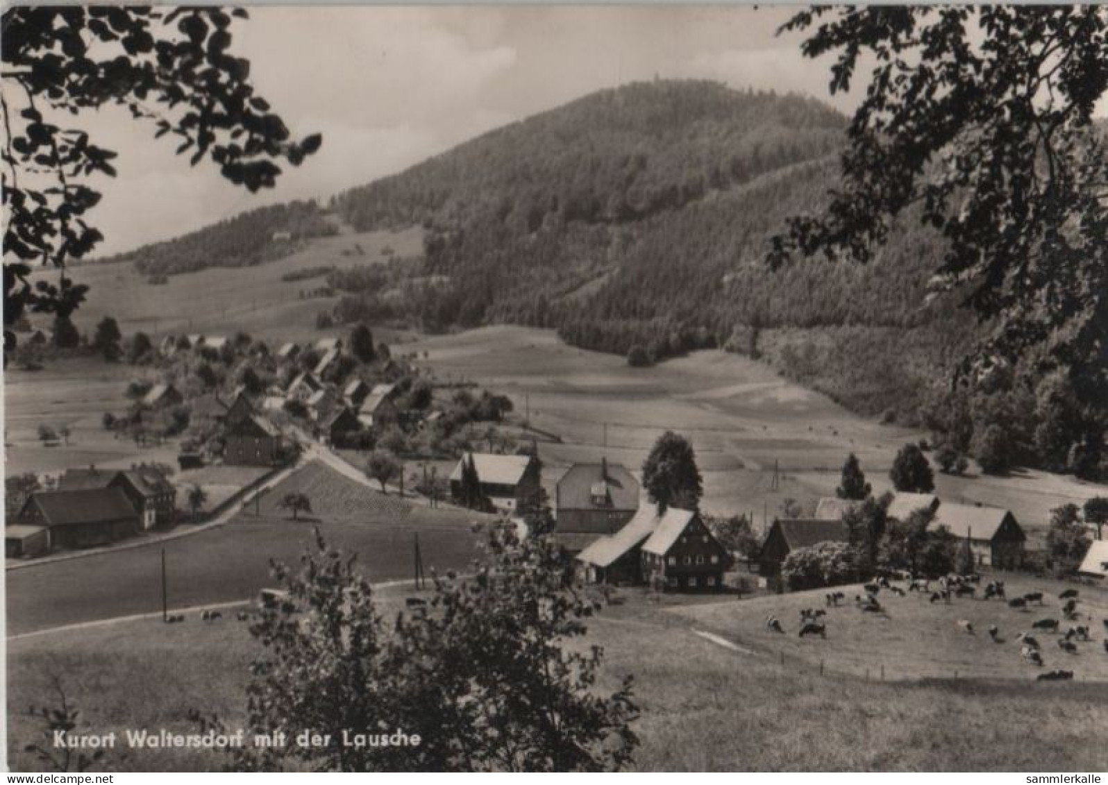 51417 - Waltersdorf - An Der Lausche - 1967 - Grossschönau (Sachsen)