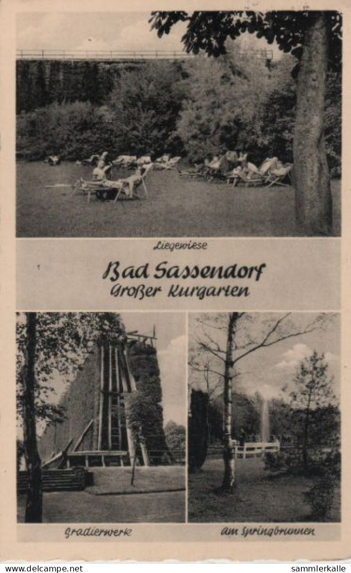 85078 - Bad Sassendorf - Grosser Kurgarten - 1962 - Bad Sassendorf