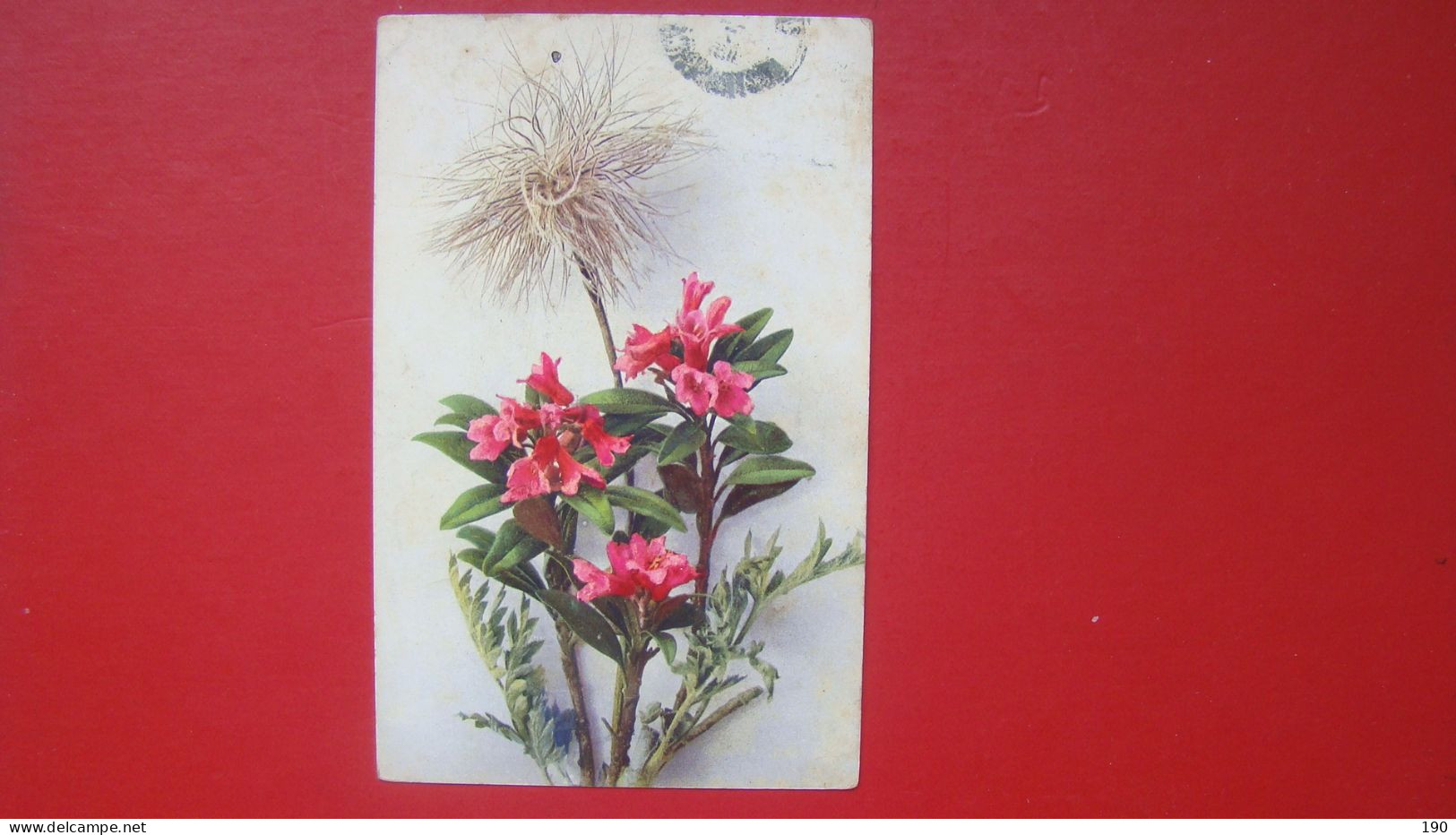 Postmark Kostanjevica Na Krki.Flowers. - Slovenia