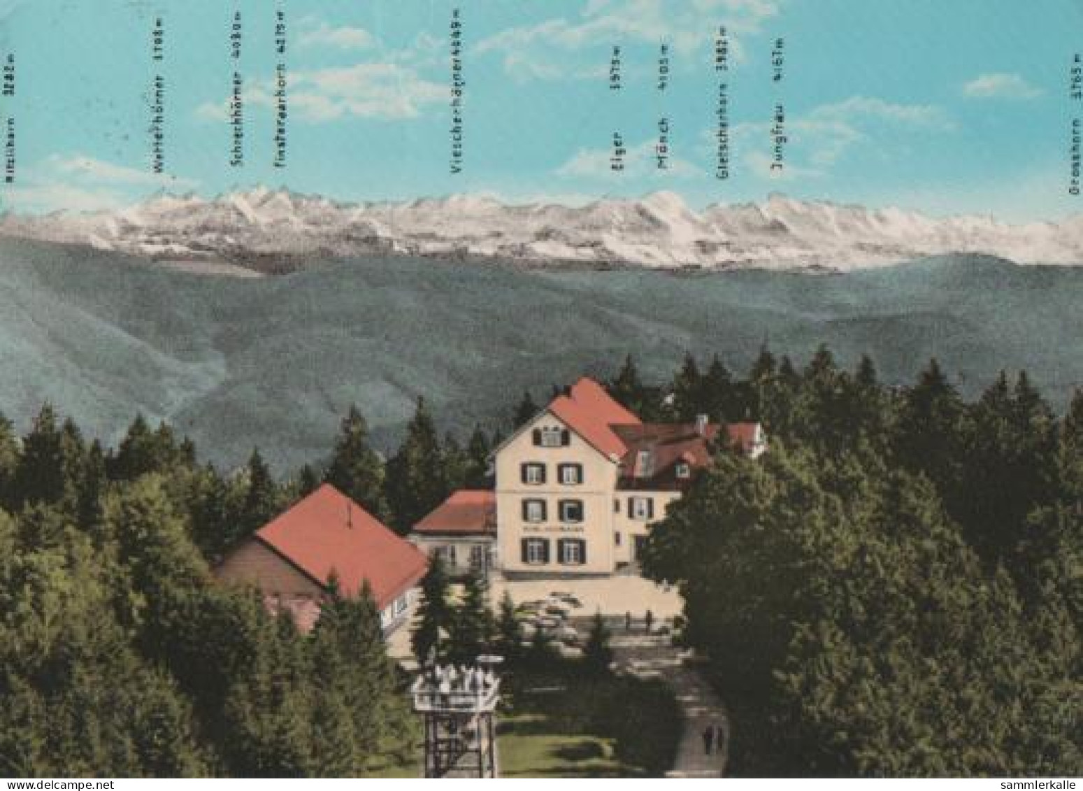 22995 - Badenweiler - Hotel Hochblauen - 1973 - Badenweiler