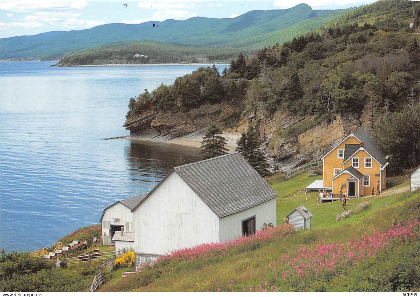 Anse Blanchette Parc National Forillon GASPE QUEBEC 1(scan Recto-verso) MA502 - Gaspé