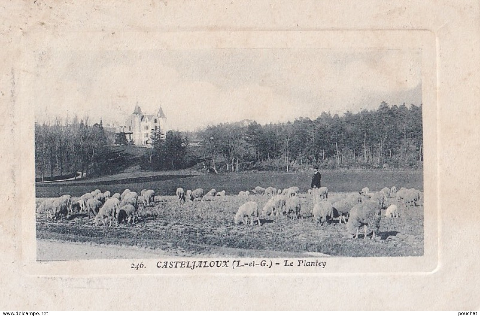 R11-47) CASTELJALOUX - LE PLANTEY - ANIMEE - BERGER AVEC TROUPEAU DE MOUTONS - ( 2 SCANS ) - Casteljaloux