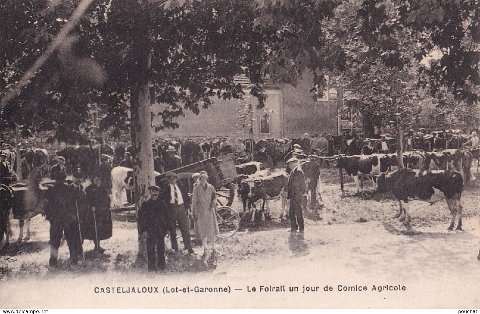 R12-47) CASTELJALOUX -  LE FOIRAIL UN JOUR DE COMICE AGRICOLE   - ( 2 SCANS ) - Casteljaloux