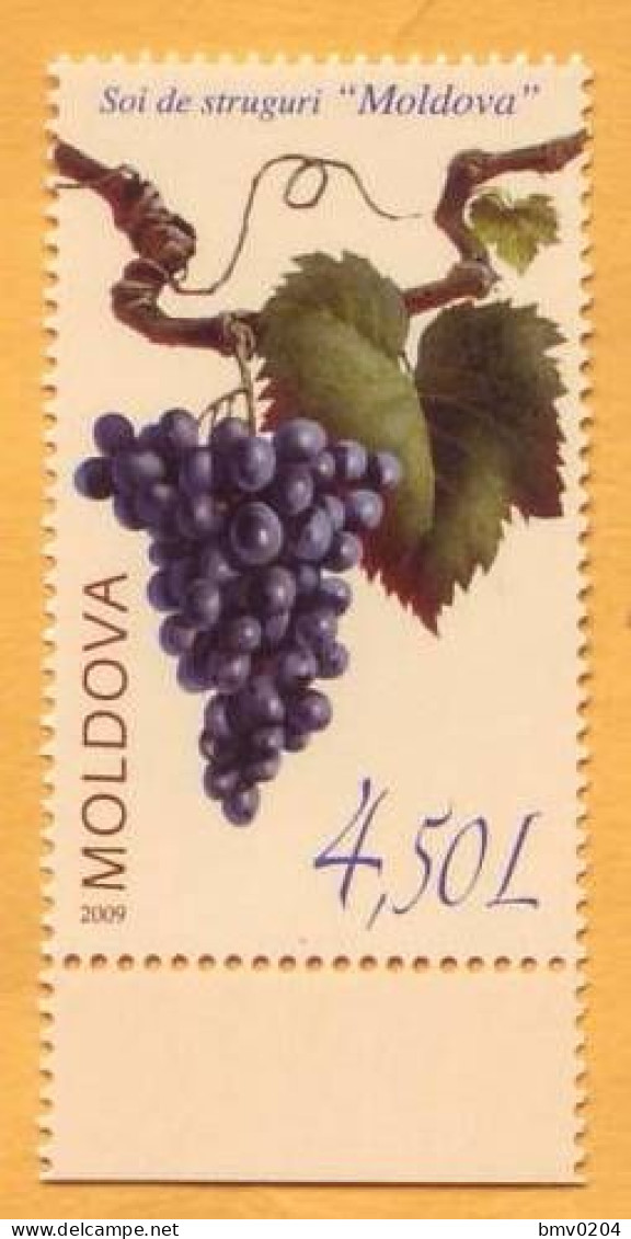 2009  Moldova  Grape Variety "Moldova", Wine,  1v Mint - Moldavie