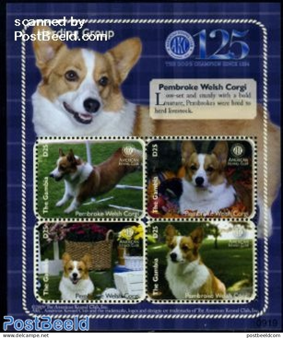 Gambia 2009 Pembroke Welsh Corgi 4v M/s, Mint NH, Nature - Dogs - Gambia (...-1964)