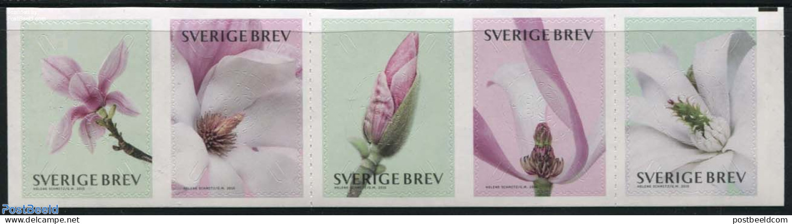 Sweden 2015 Magnolia 5v S-a, Mint NH, Nature - Flowers & Plants - Neufs