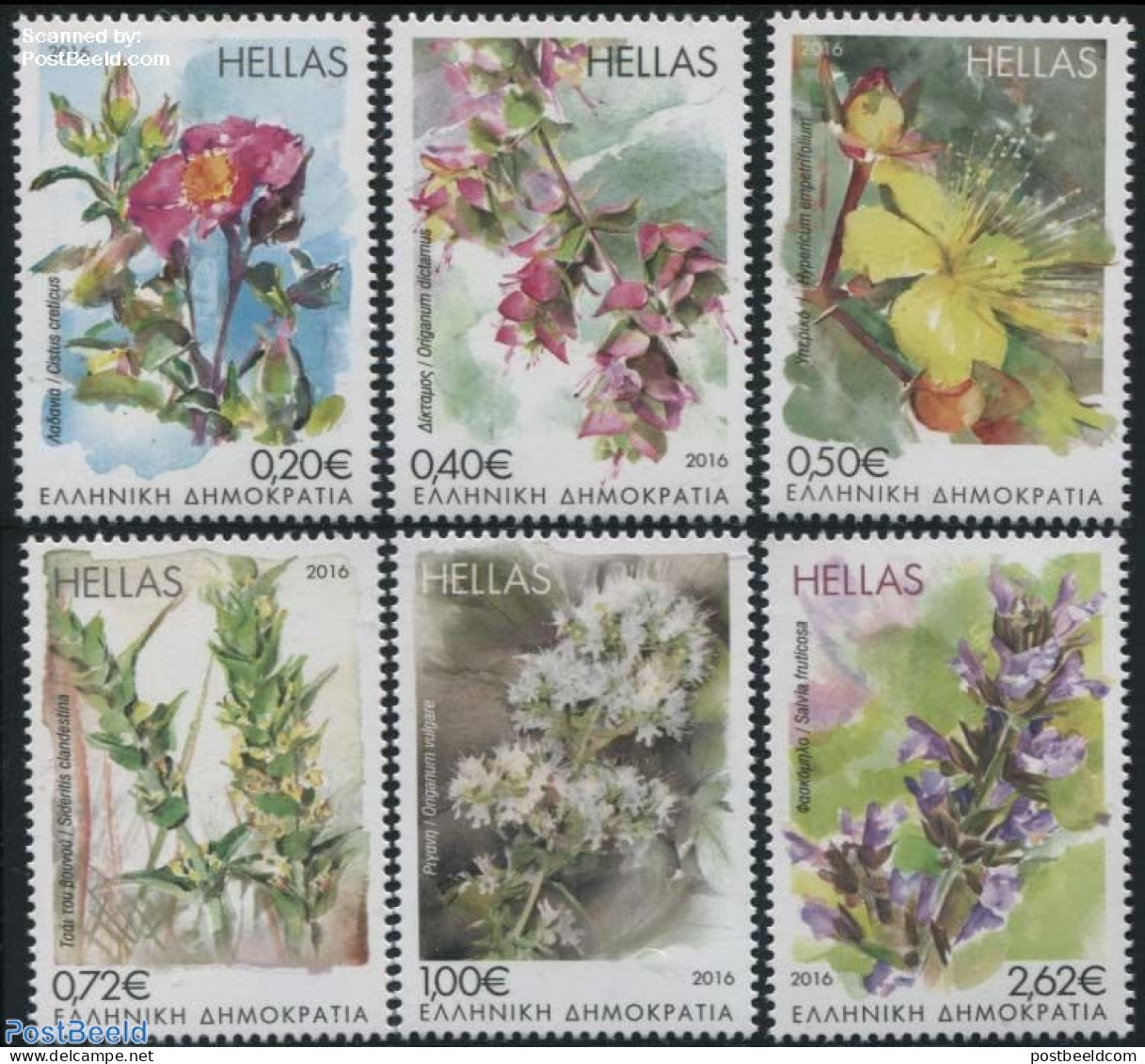 Greece 2016 Herbs & Flowers 6v (1v Scented), Mint NH, Nature - Various - Flowers & Plants - Scented Stamps - Neufs