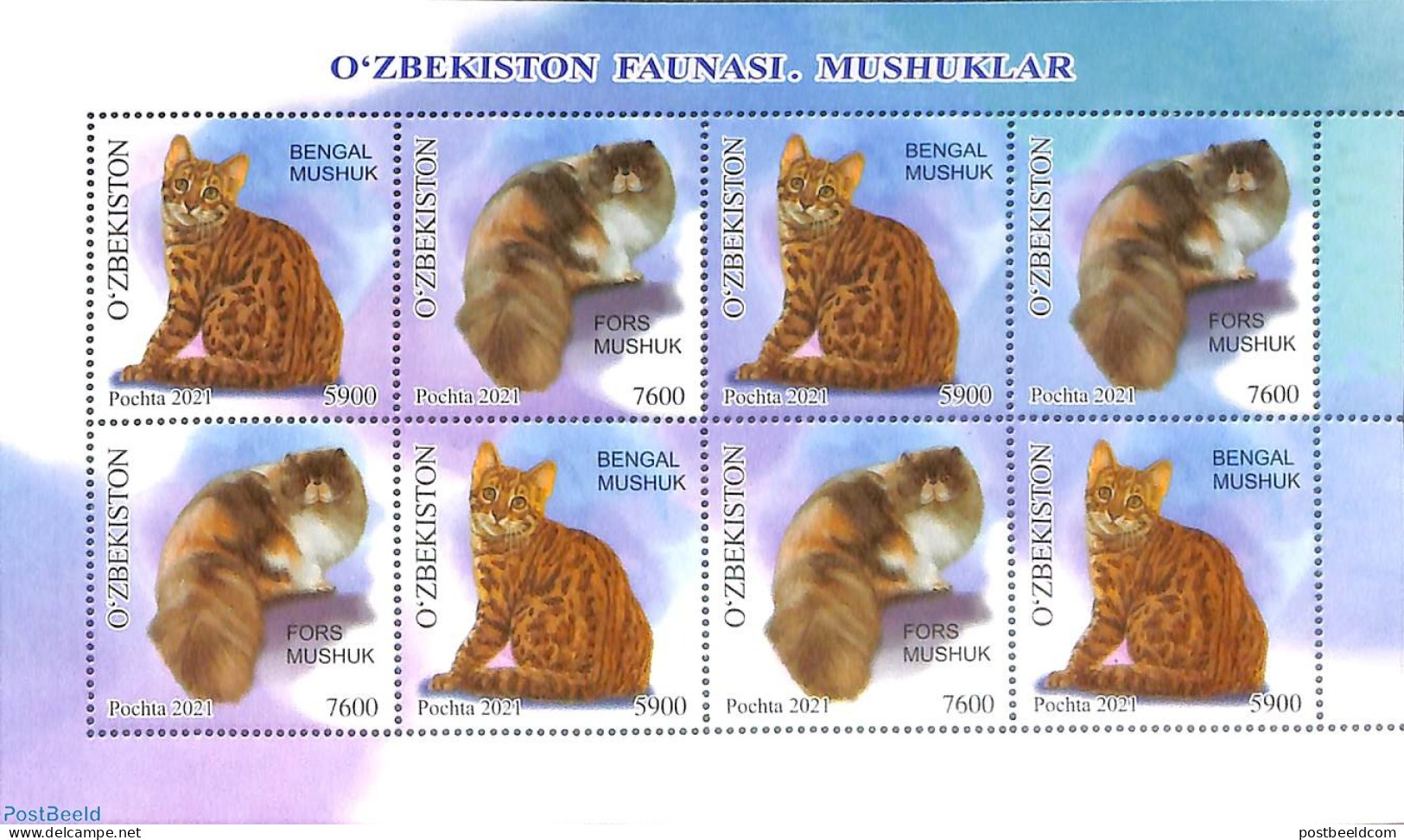 Uzbekistan 2021 Cars M/s, Mint NH, Nature - Cats - Usbekistan