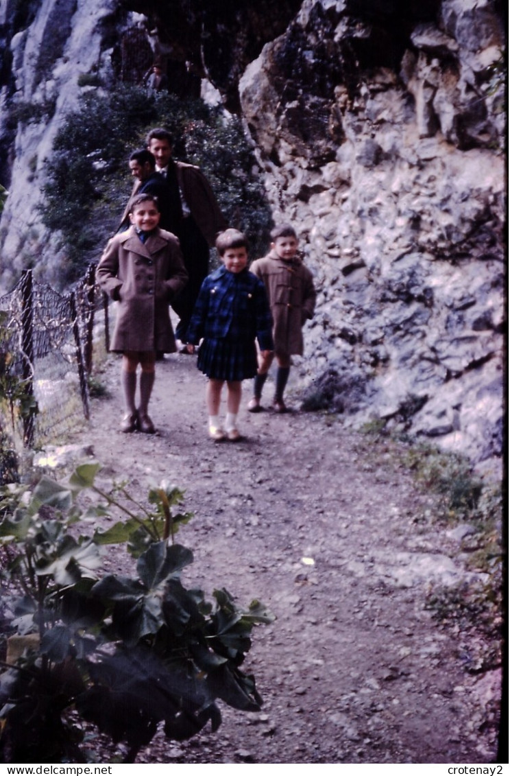 Photo Diapo Diapositive Slide à Situer Famille En Promenade VOIR ZOOM - Diapositives