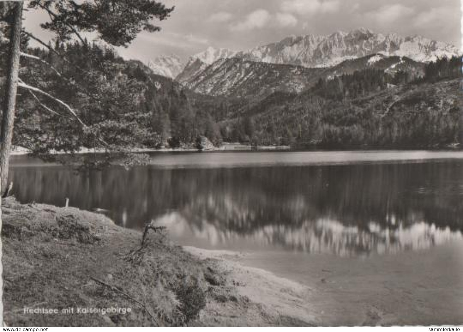 21239 - Kiefersfelden - Hechtsee Mit Kaisergebirge - Ca. 1965 - Rosenheim