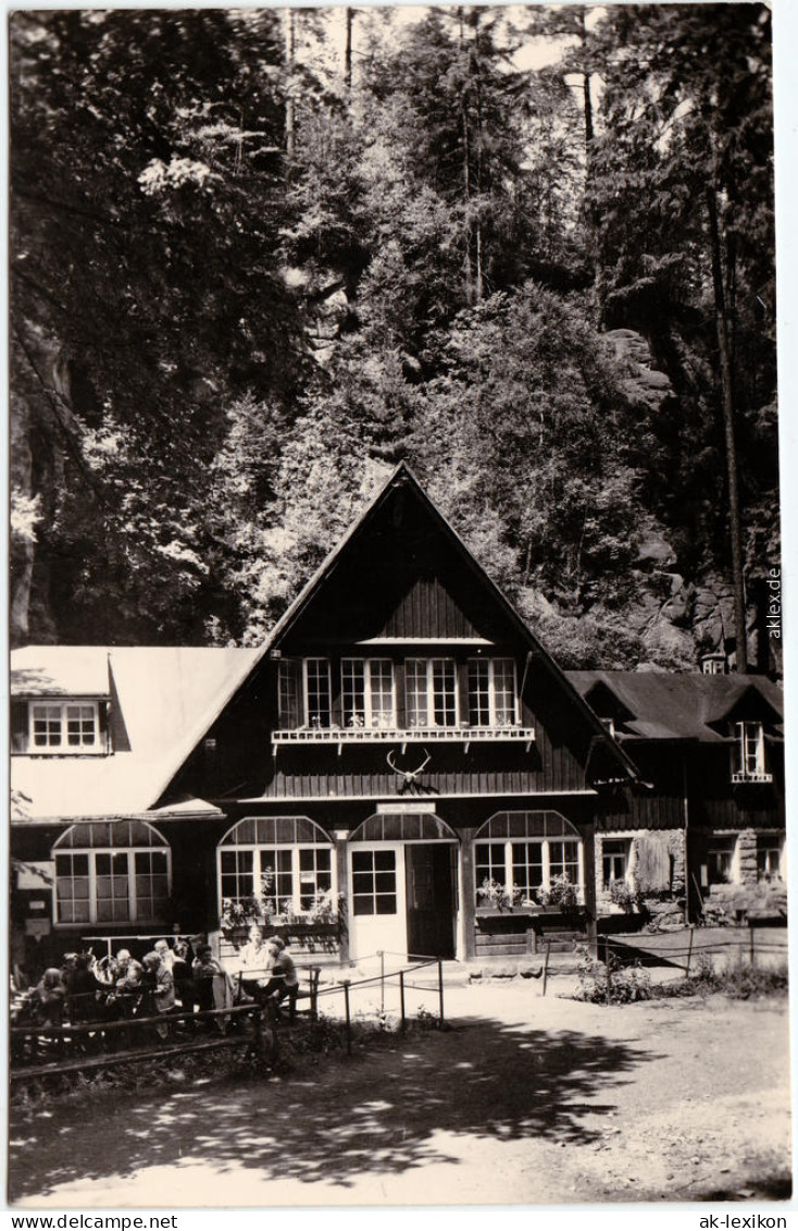 Wehlen Uttewalder Grund, Gaststätte Waldidylle Foto Ansichtskarte 1956 - Wehlen